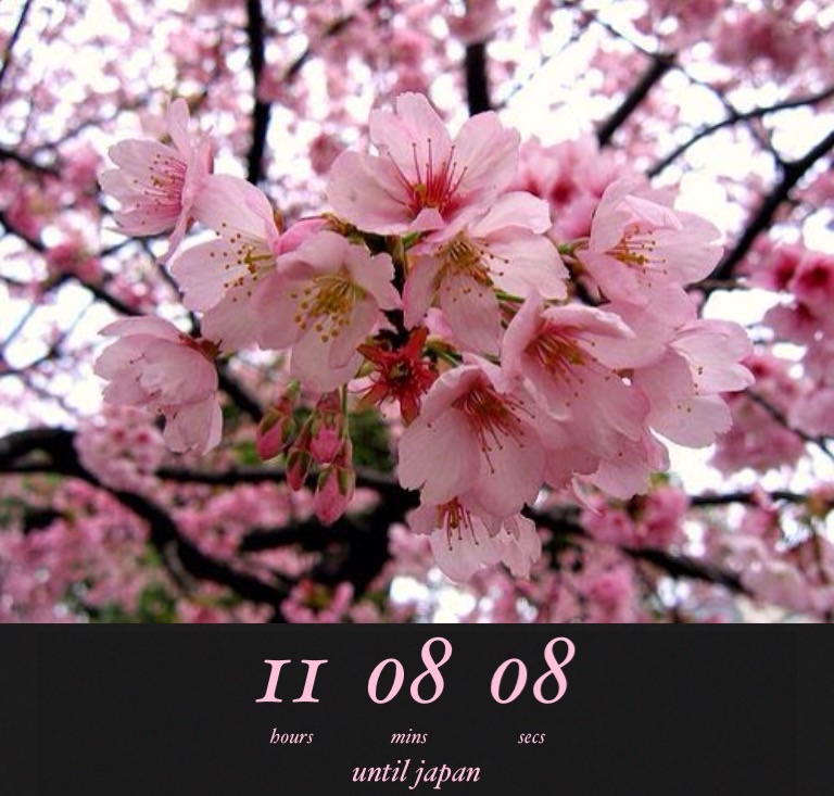 countdown4.jpg