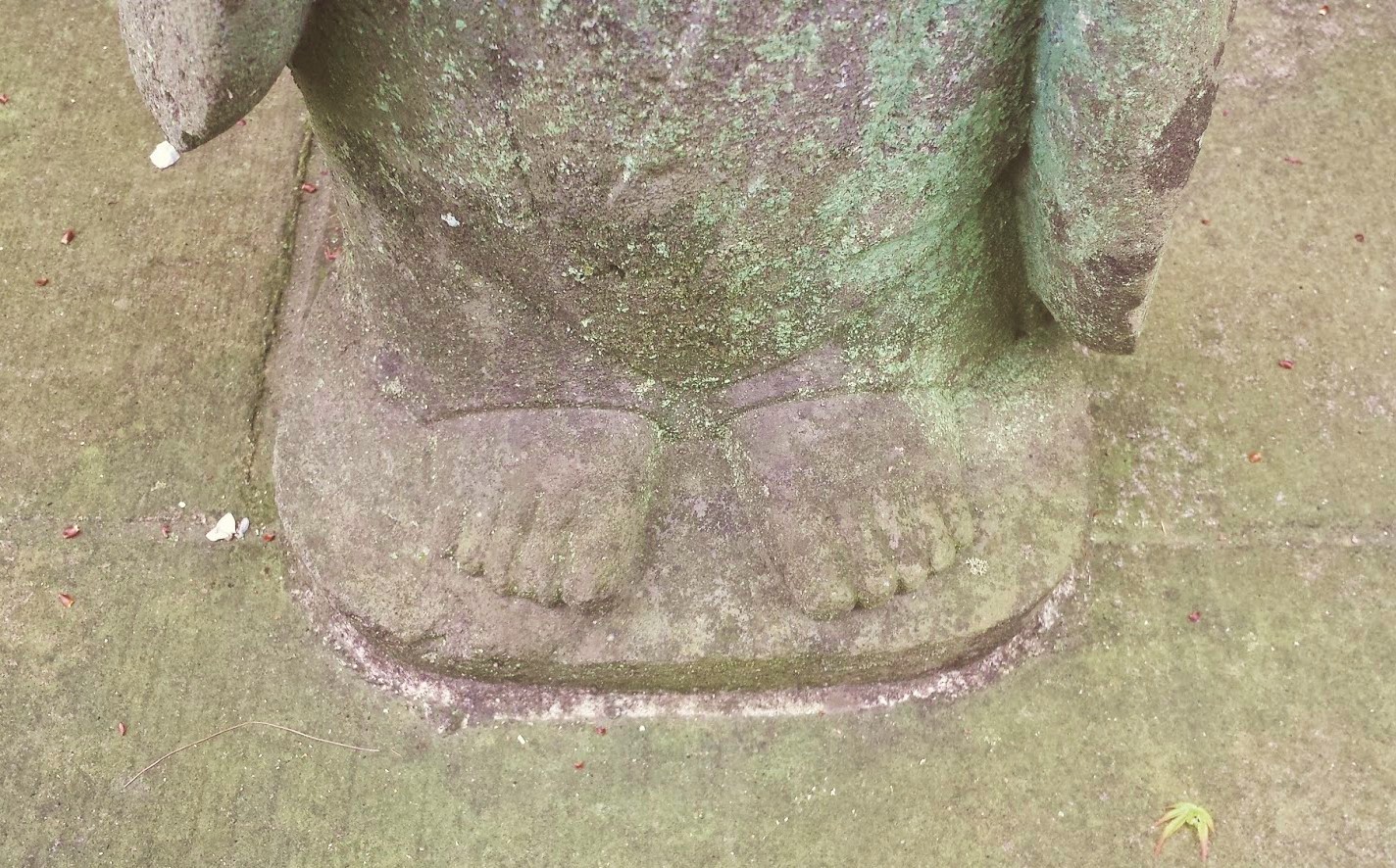107.jpg