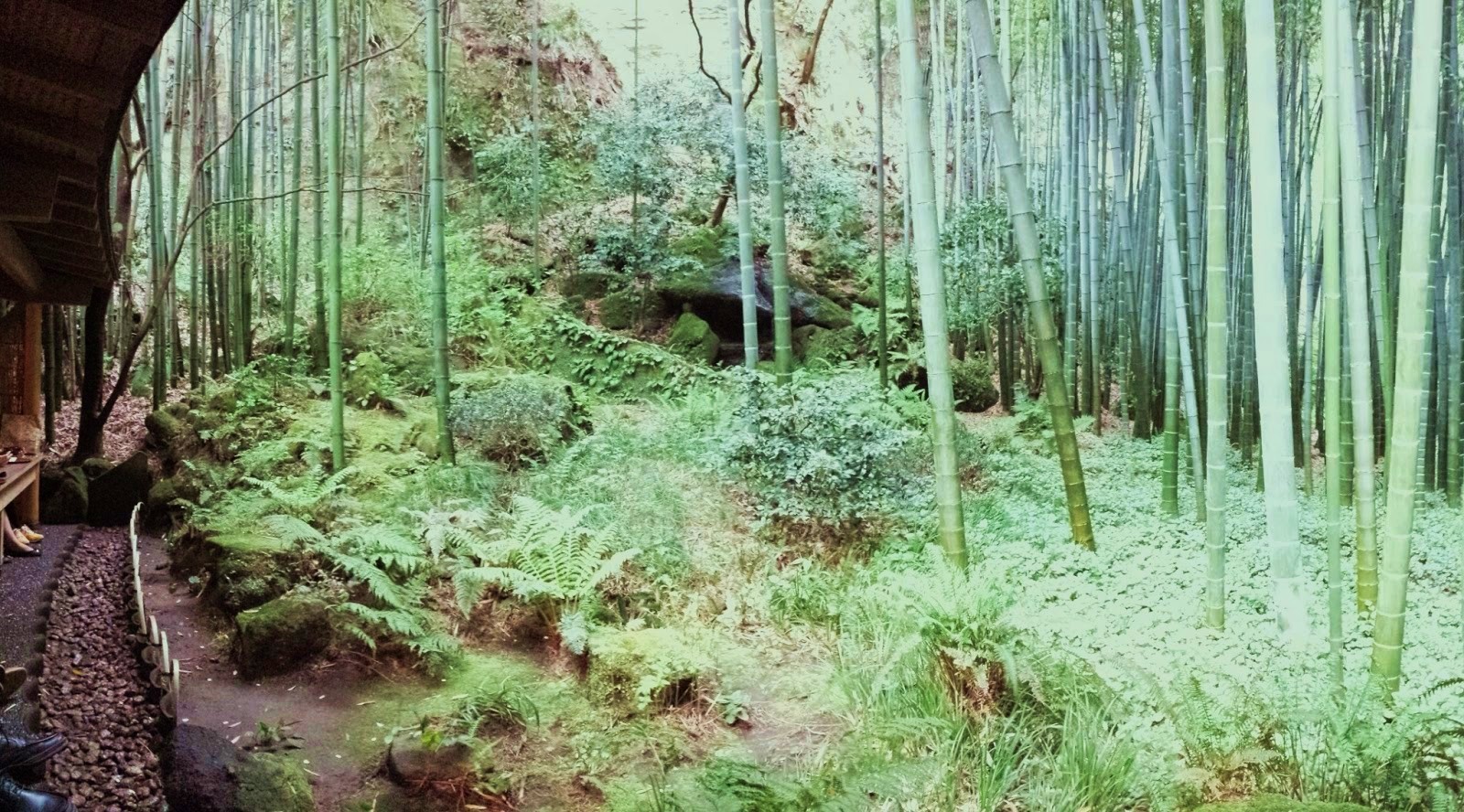 177.jpg