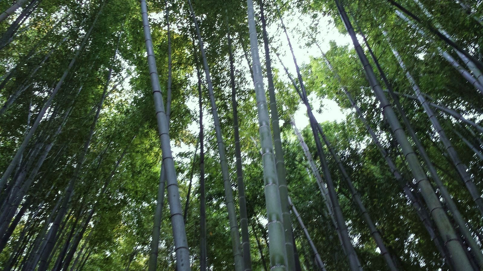 193.jpg