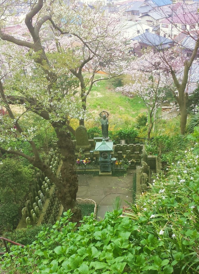 98.jpg
