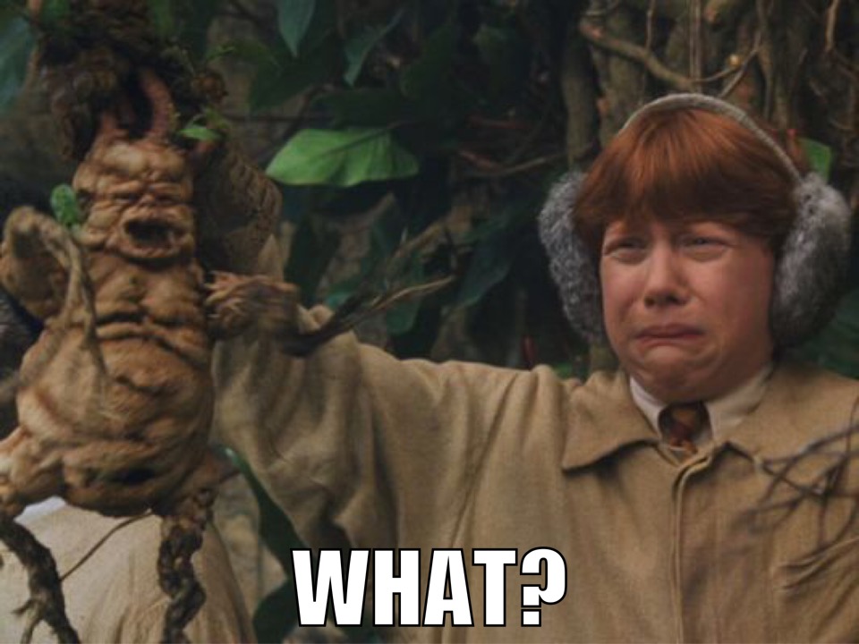 mandrake.JPG